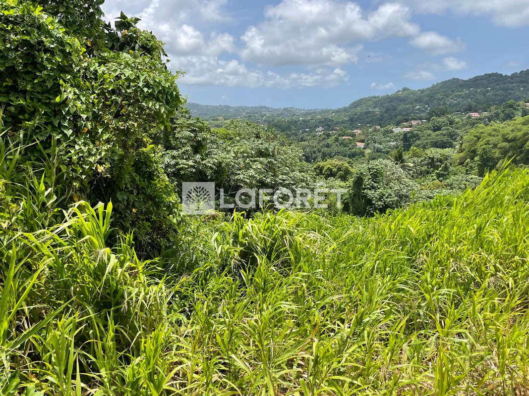 Terrain à LE LAMENTIN