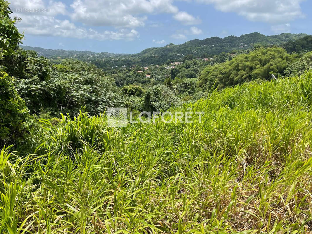 Terrain à LE LAMENTIN