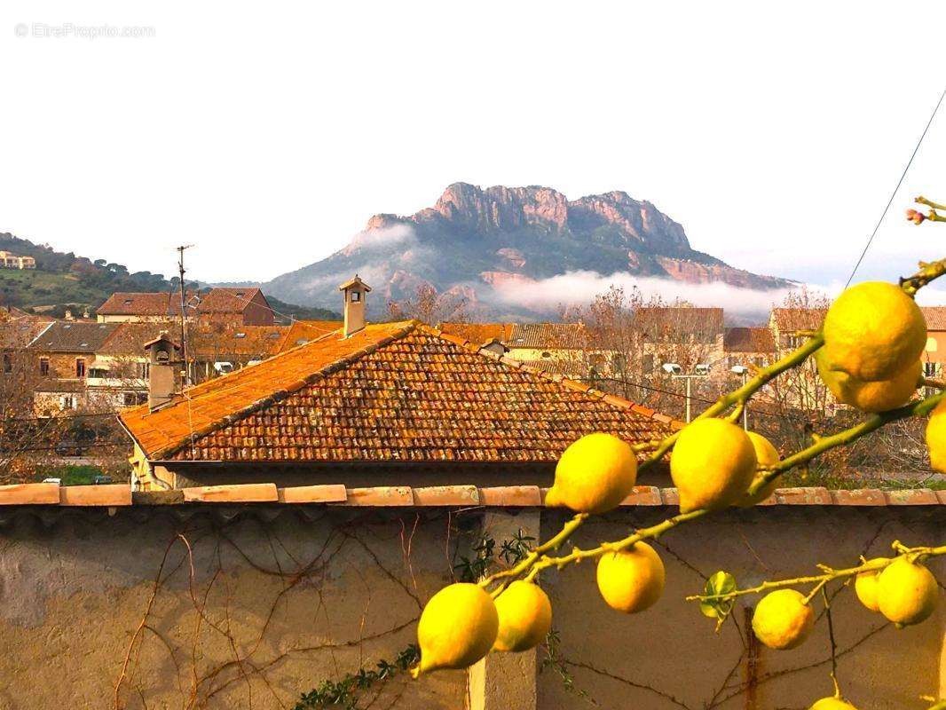 Maison à ROQUEBRUNE-SUR-ARGENS