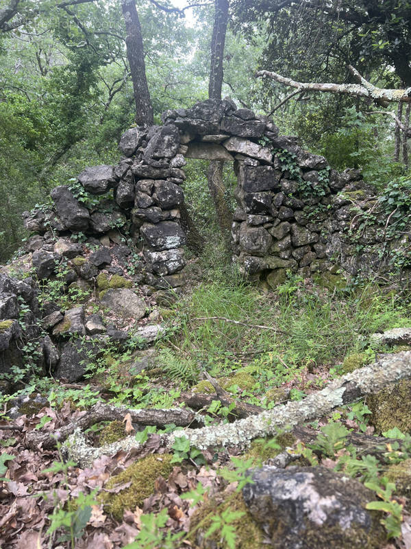 Terrain à TOURRETTES-SUR-LOUP