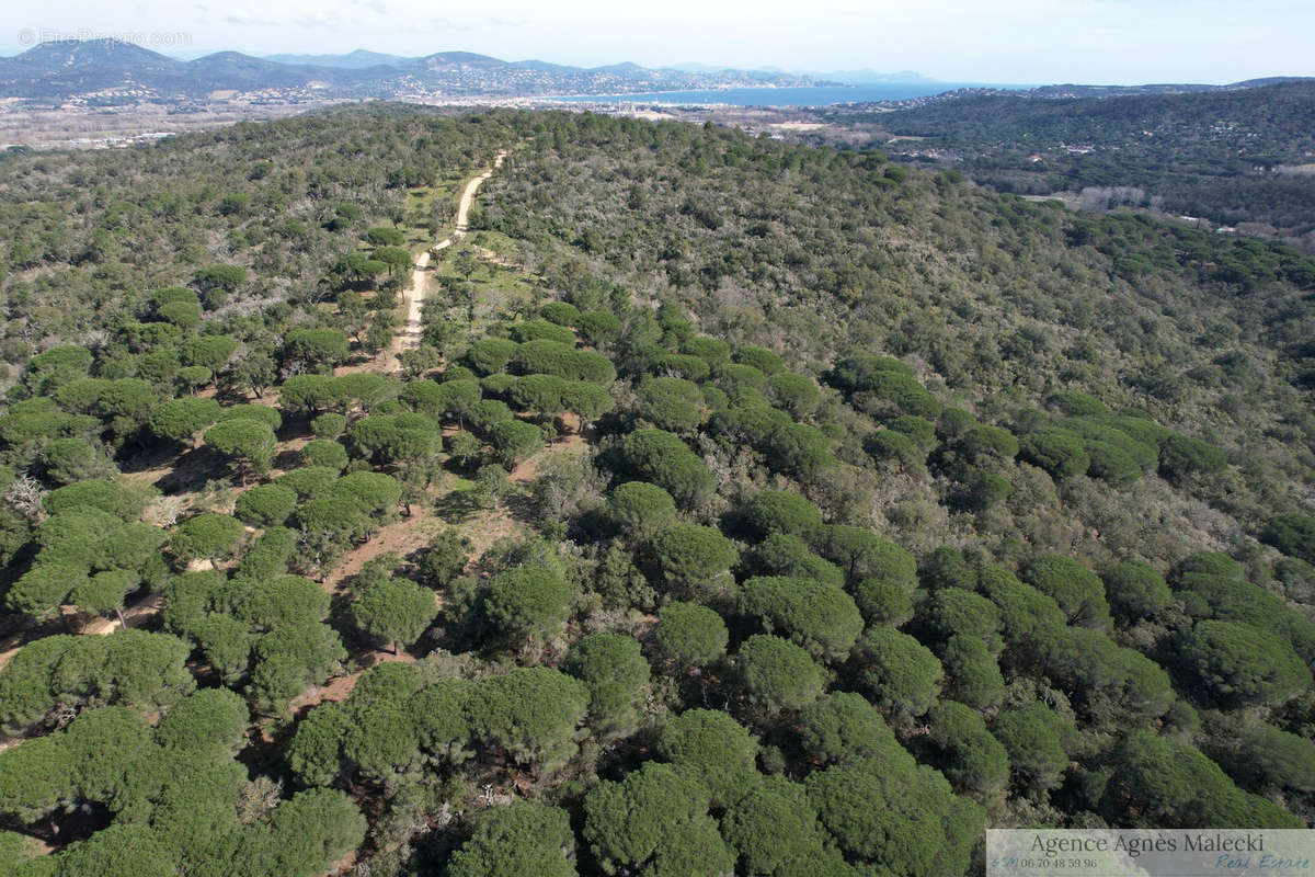 Terrain à GASSIN