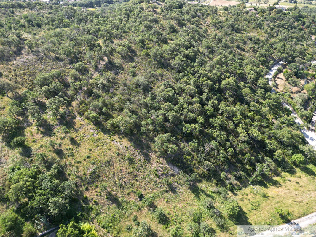 Terrain à GRIMAUD