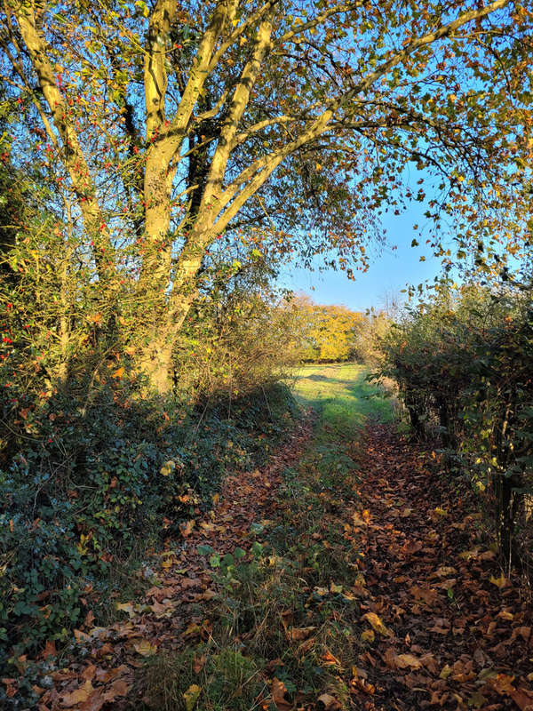 Terrain à SOLRE-LE-CHATEAU