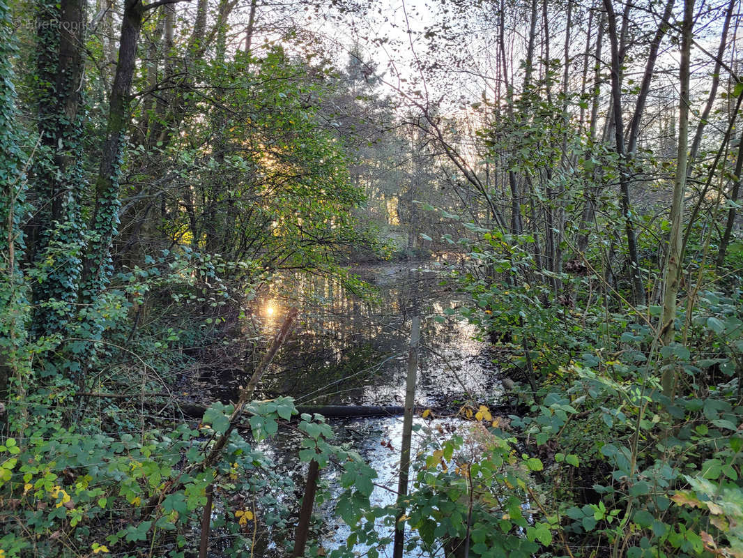 Terrain à SOLRE-LE-CHATEAU