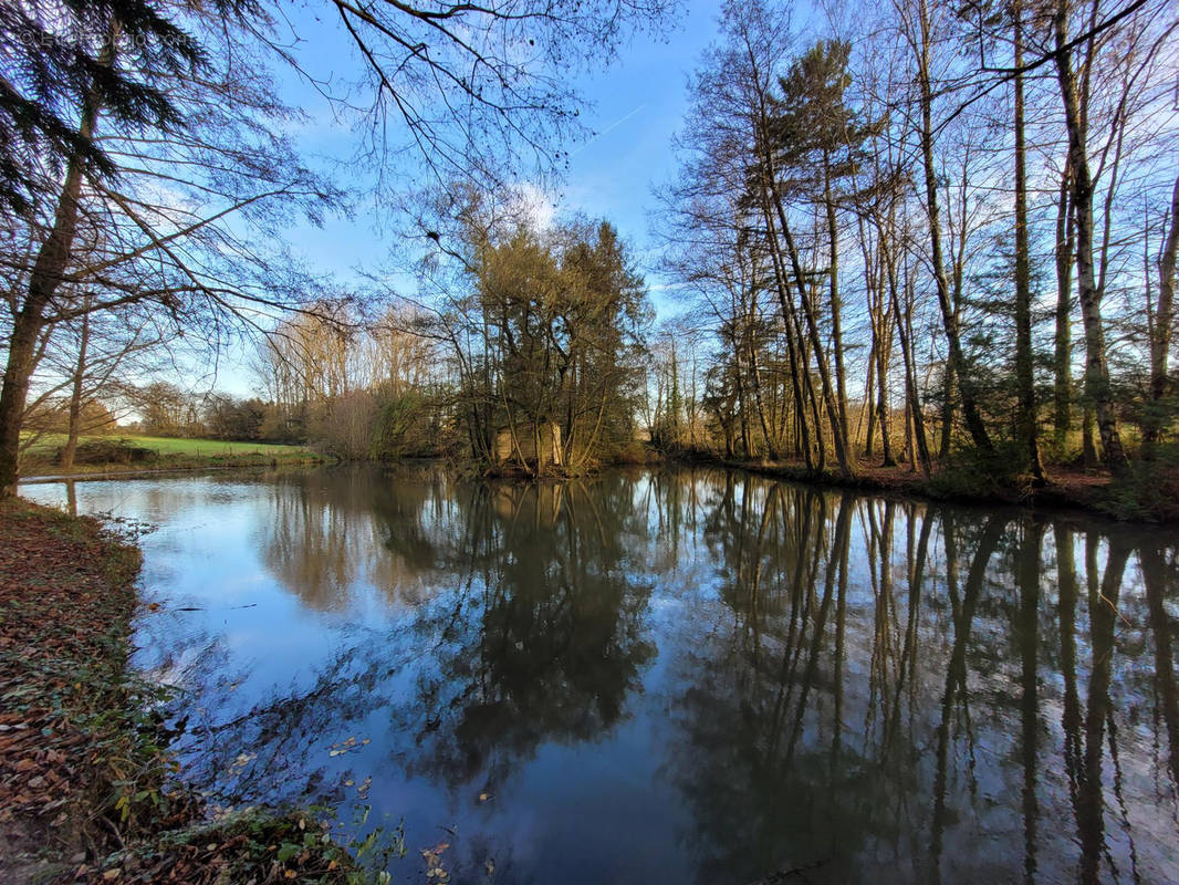 Terrain à SOLRE-LE-CHATEAU