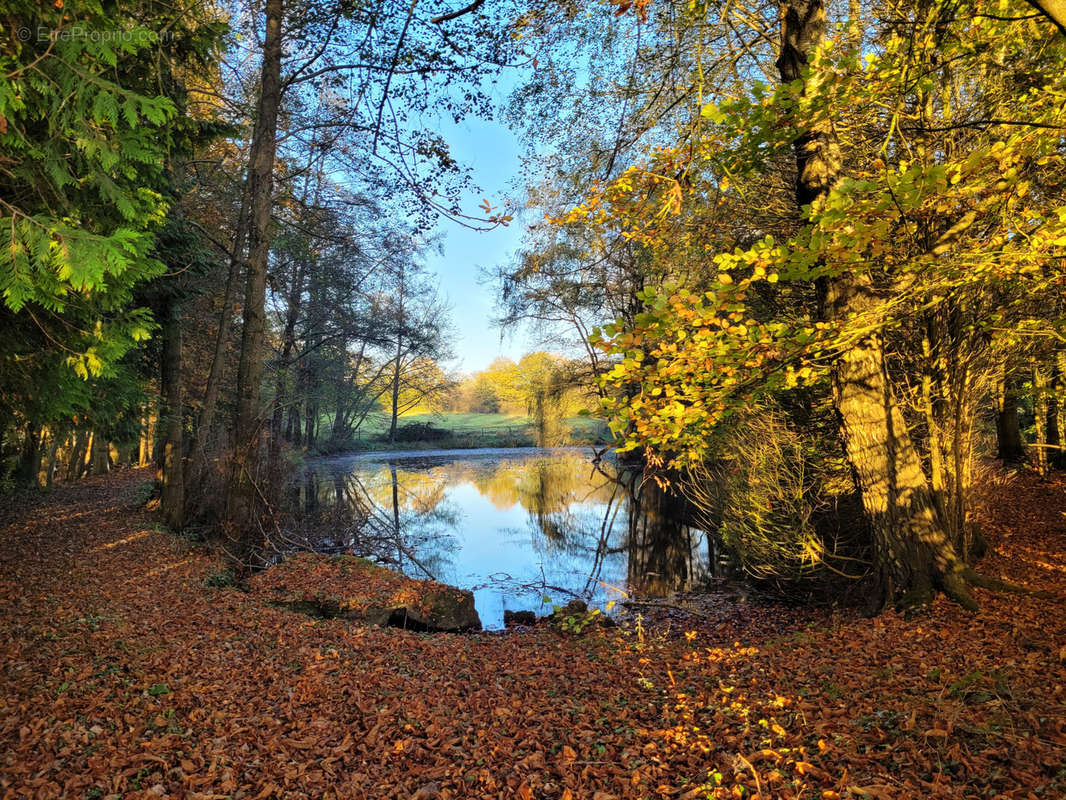 Terrain à SOLRE-LE-CHATEAU