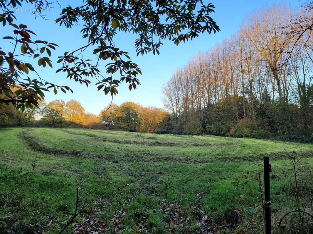 Terrain à SOLRE-LE-CHATEAU