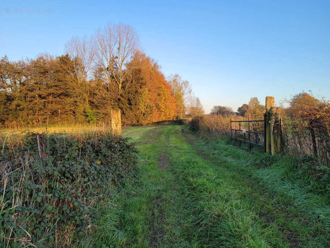 Terrain à SOLRE-LE-CHATEAU