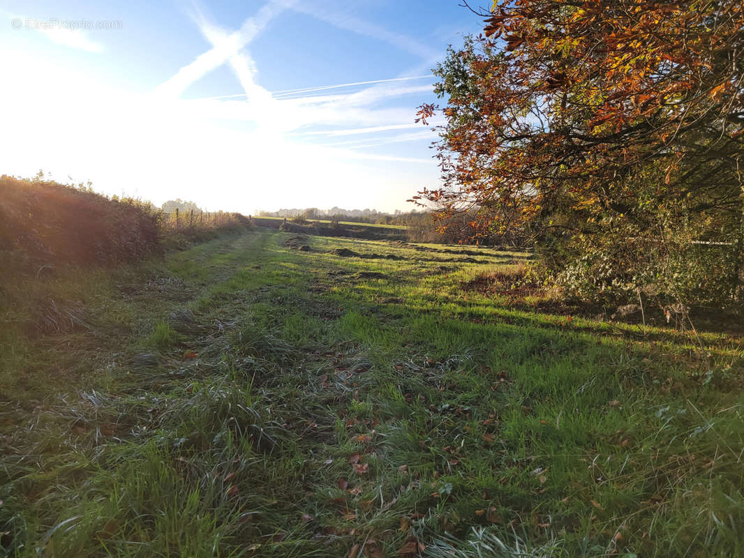 Terrain à SOLRE-LE-CHATEAU