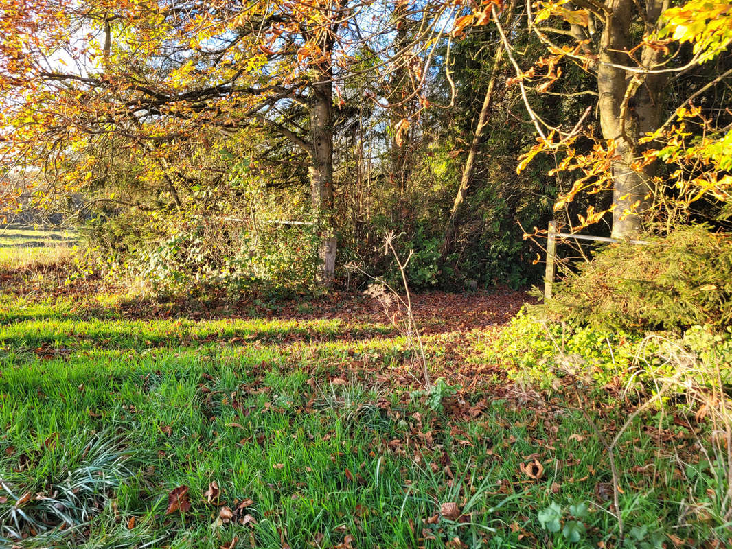 Terrain à SOLRE-LE-CHATEAU