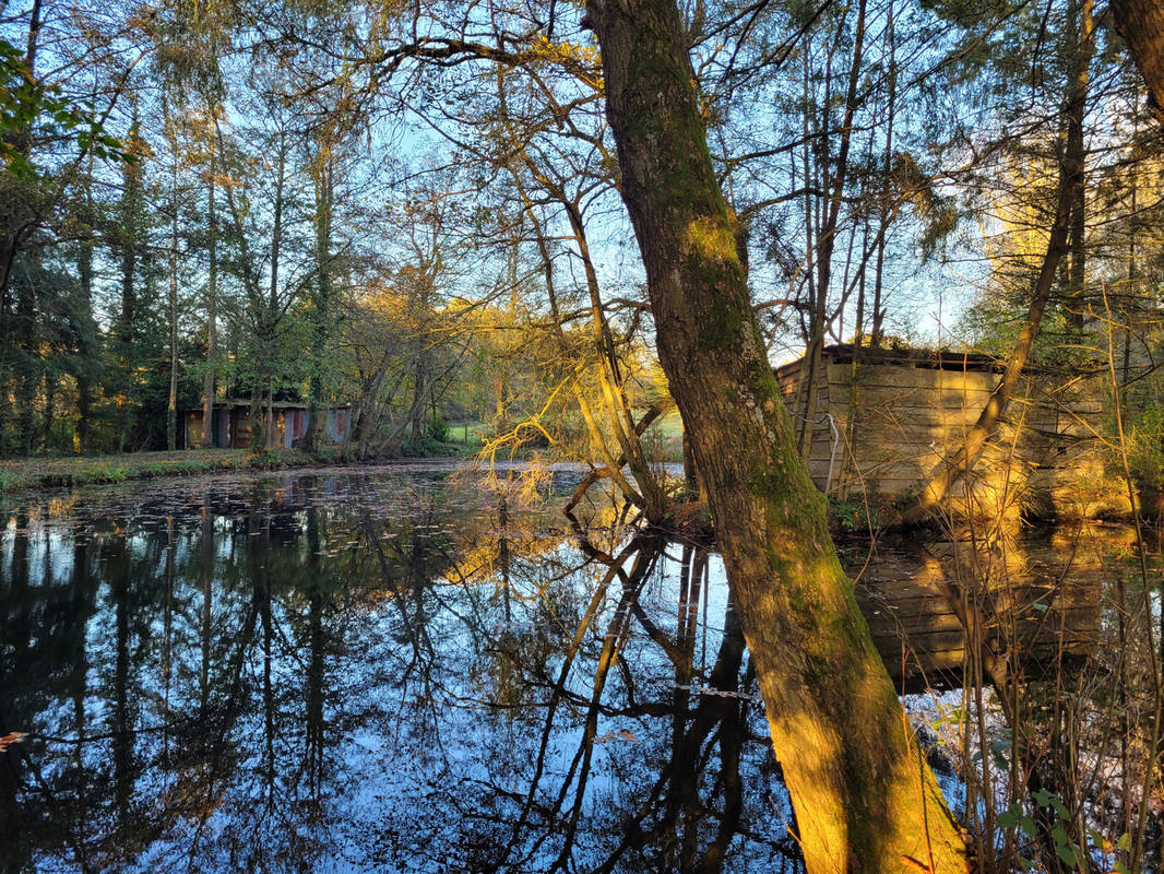 Terrain à SOLRE-LE-CHATEAU