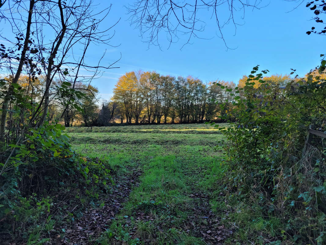 Terrain à SOLRE-LE-CHATEAU