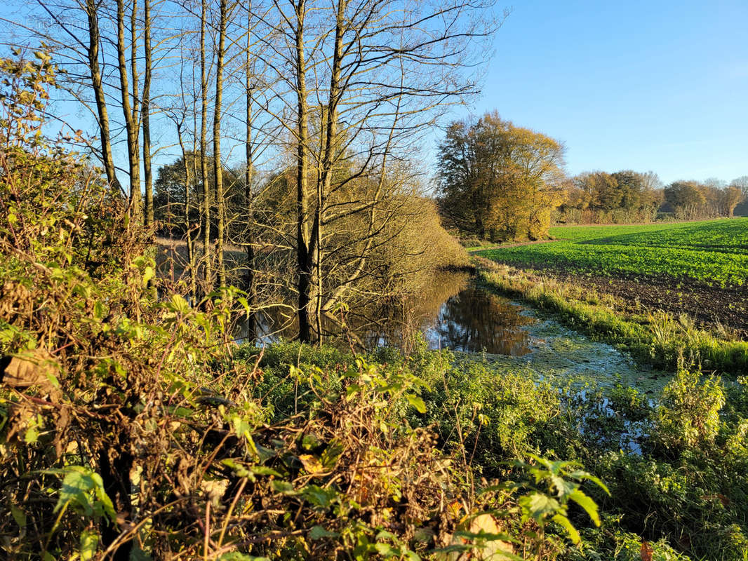 Terrain à SOLRE-LE-CHATEAU