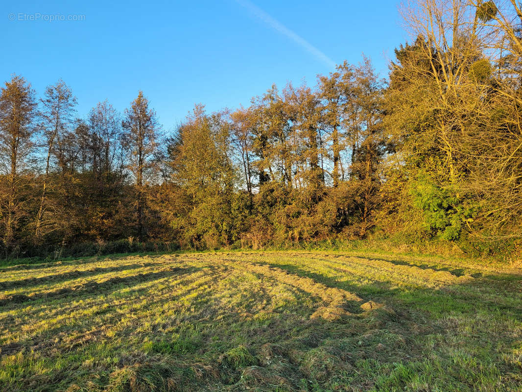 Terrain à SOLRE-LE-CHATEAU