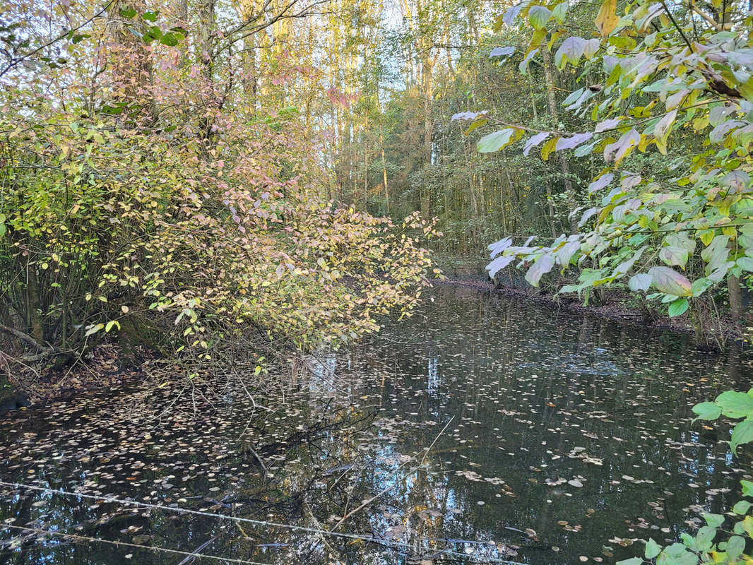 Terrain à SOLRE-LE-CHATEAU