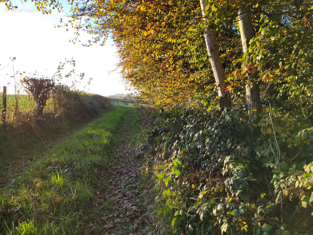 Terrain à SOLRE-LE-CHATEAU