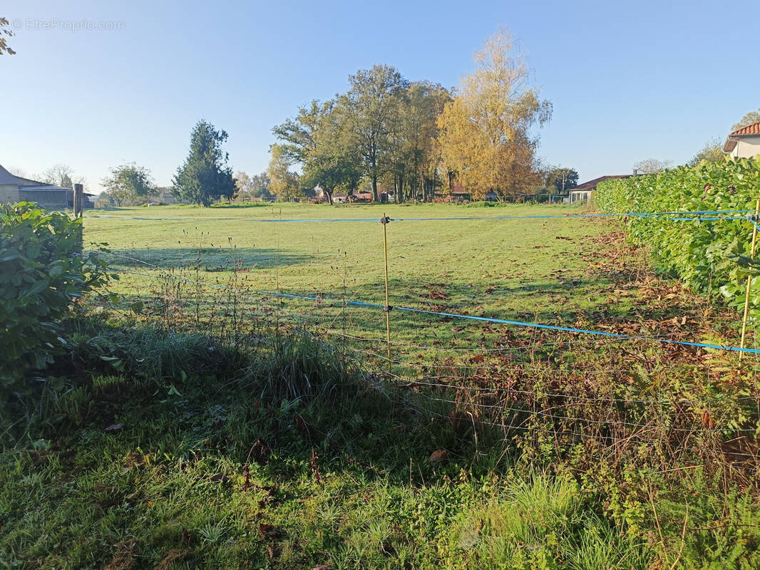 Terrain à SAINT-GENCE