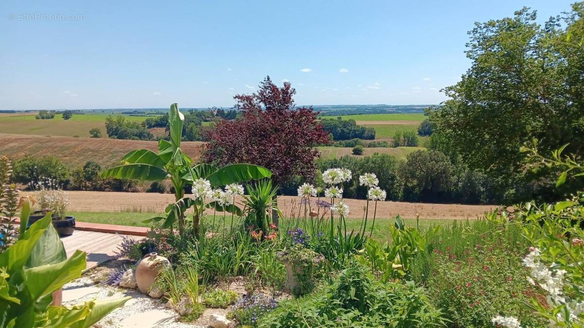 Maison à SAINT-CLAR