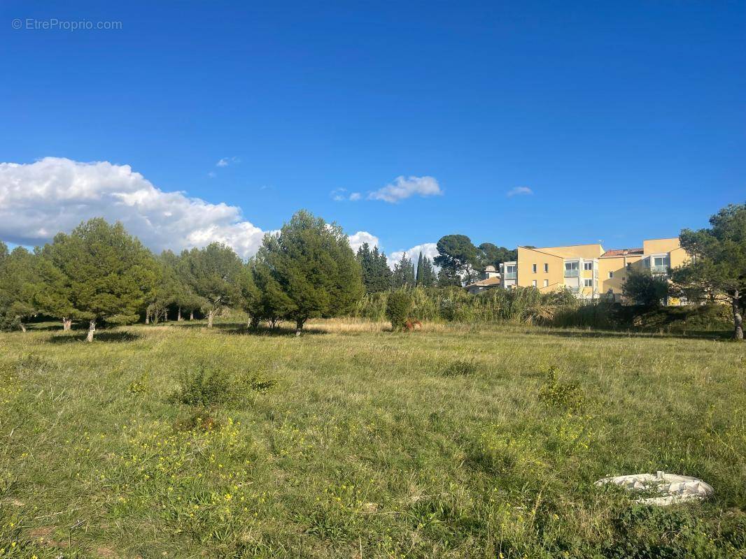 Terrain à SAINT-PARGOIRE