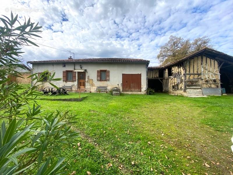 Maison à ESTANG