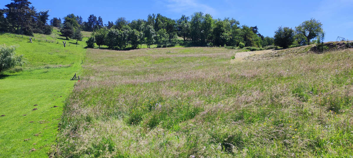 Terrain à SAINT-PAUL-EN-CORNILLON