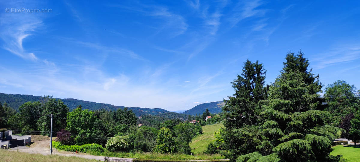 Terrain à SAINT-PAUL-EN-CORNILLON