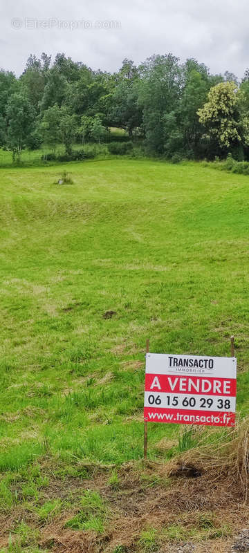 Terrain à SAINT-PAUL-EN-CORNILLON