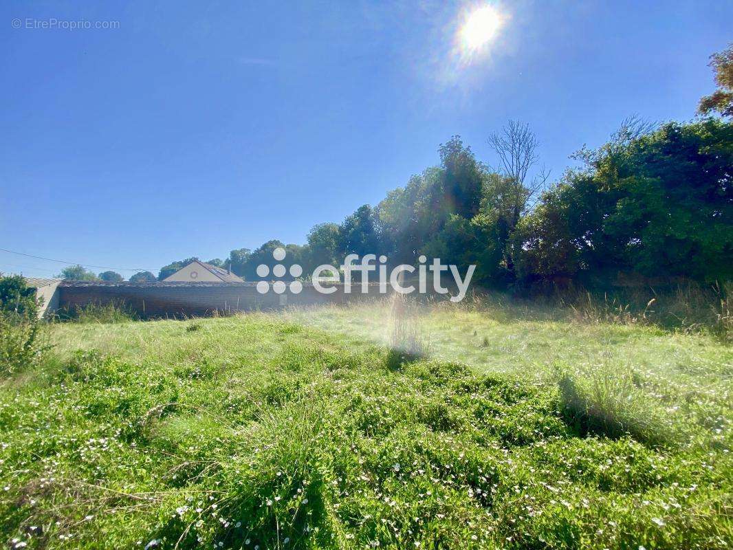 Terrain à SAINT-OMER-EN-CHAUSSEE