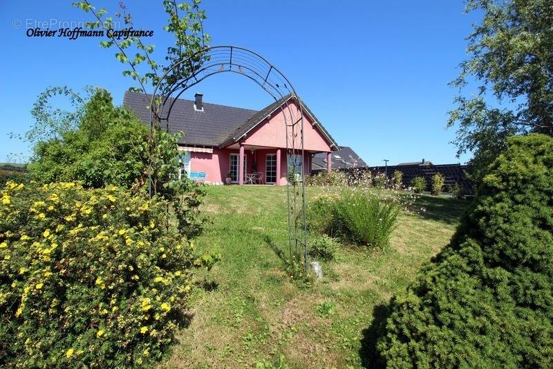 Maison à REDING