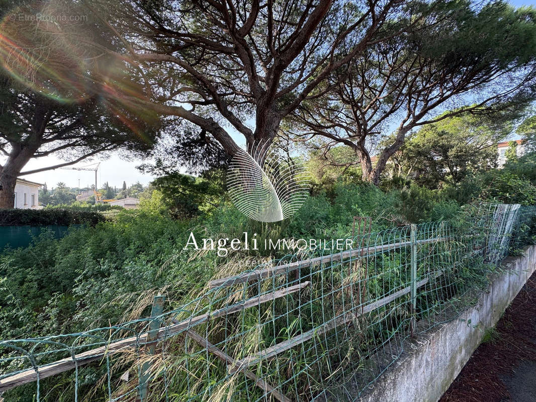 Terrain à FREJUS