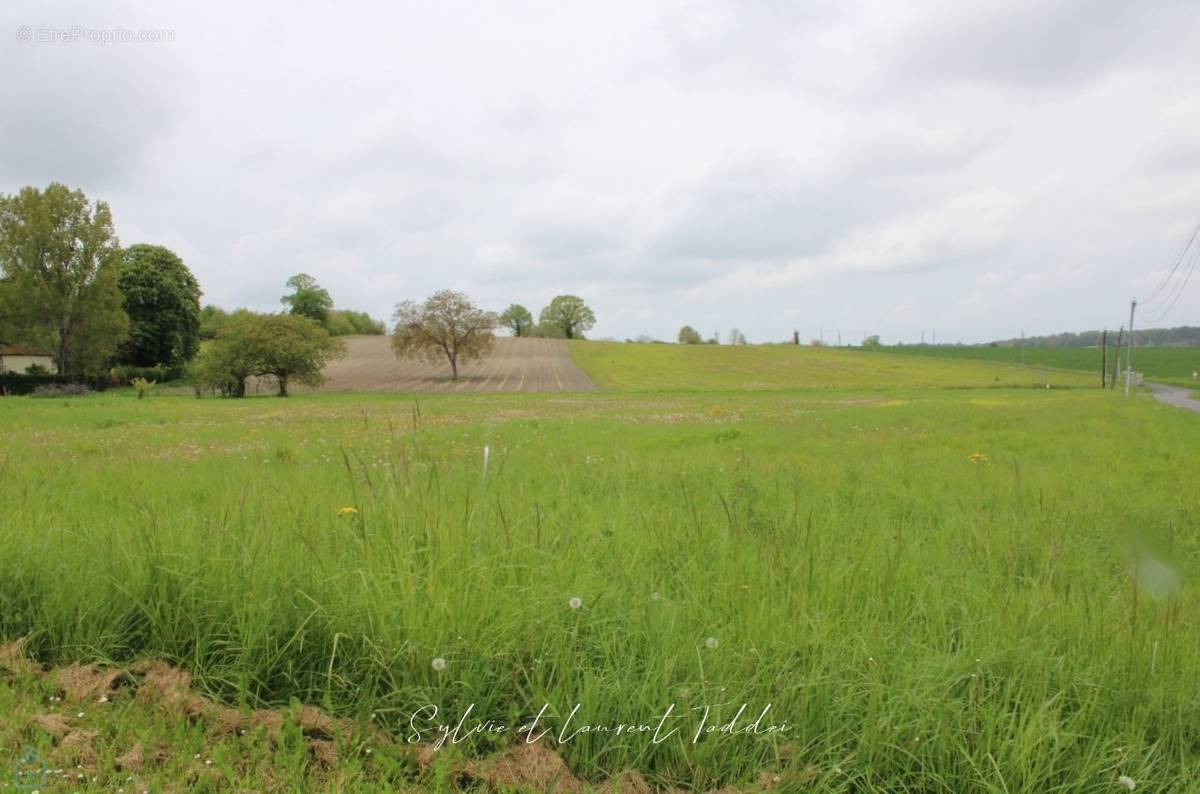 Terrain à MONTENDRE