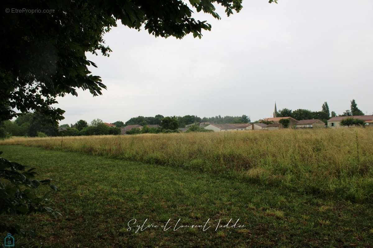 Terrain à SAINT-GENIS-DE-SAINTONGE