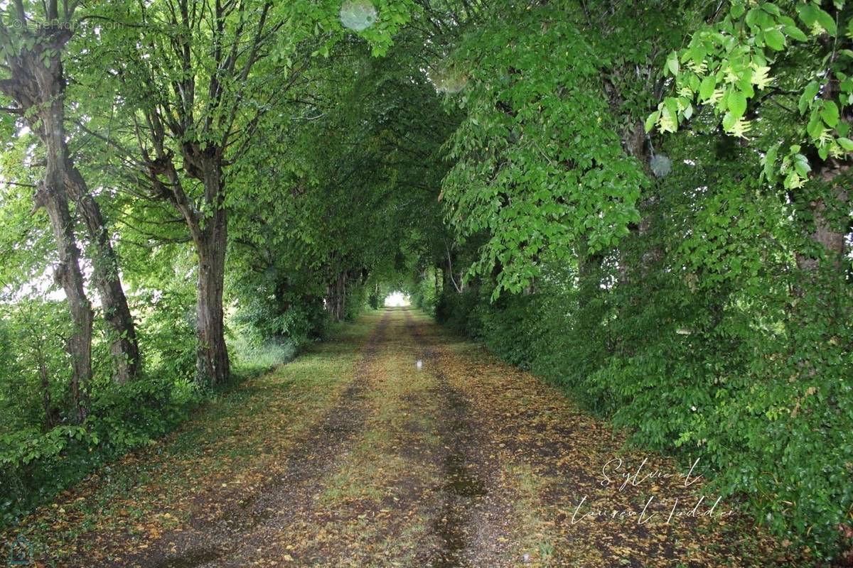 Terrain à SAINT-GENIS-DE-SAINTONGE