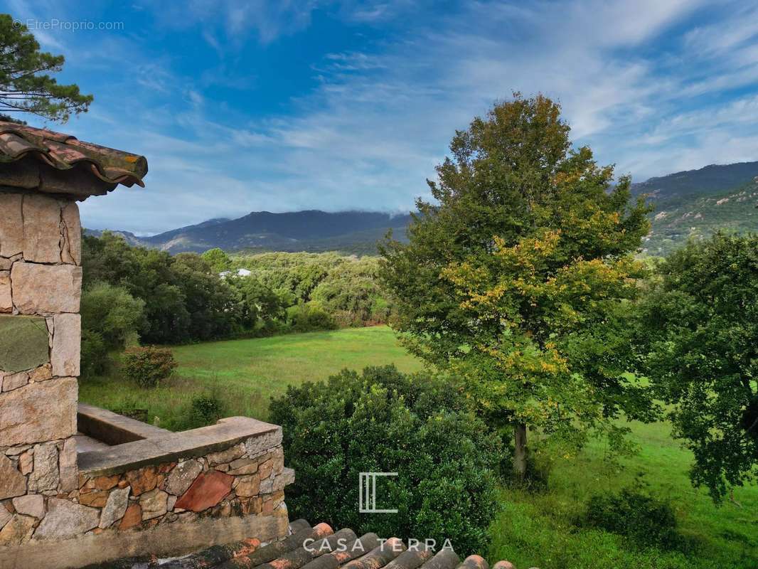 Maison à PORTO-VECCHIO