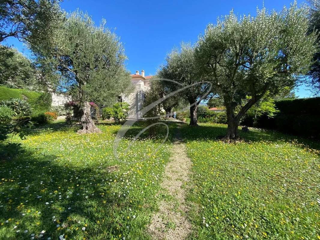 Maison à ROQUEBRUNE-CAP-MARTIN