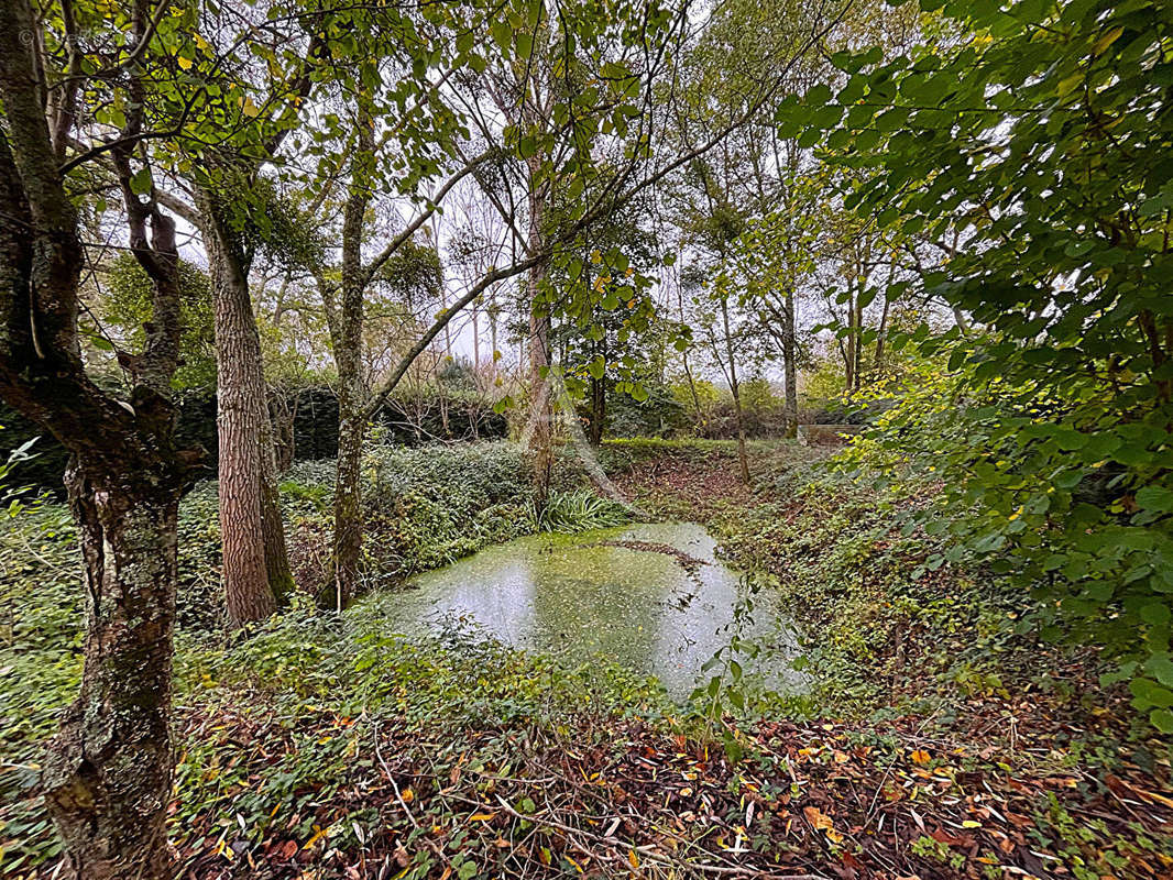 Terrain à CANDE-SUR-BEUVRON