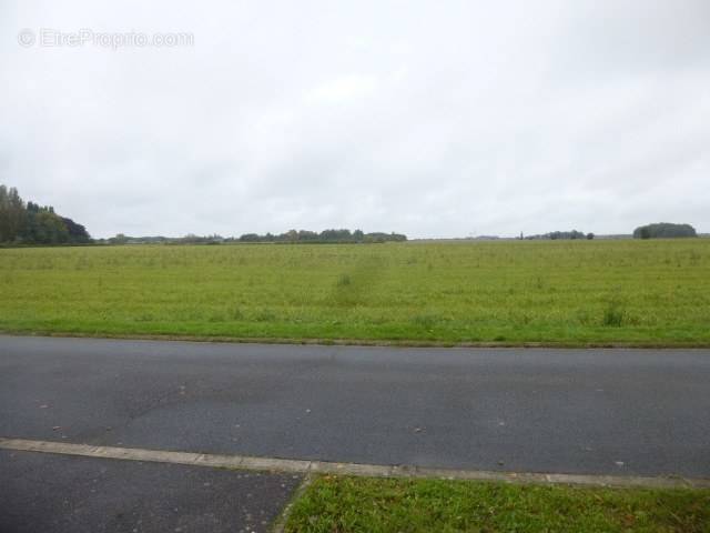 Terrain à SOUVIGNY-EN-SOLOGNE