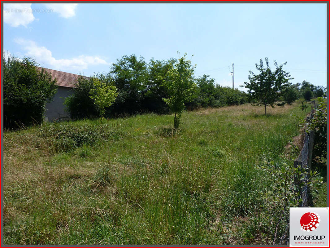 Terrain à LE BREUIL