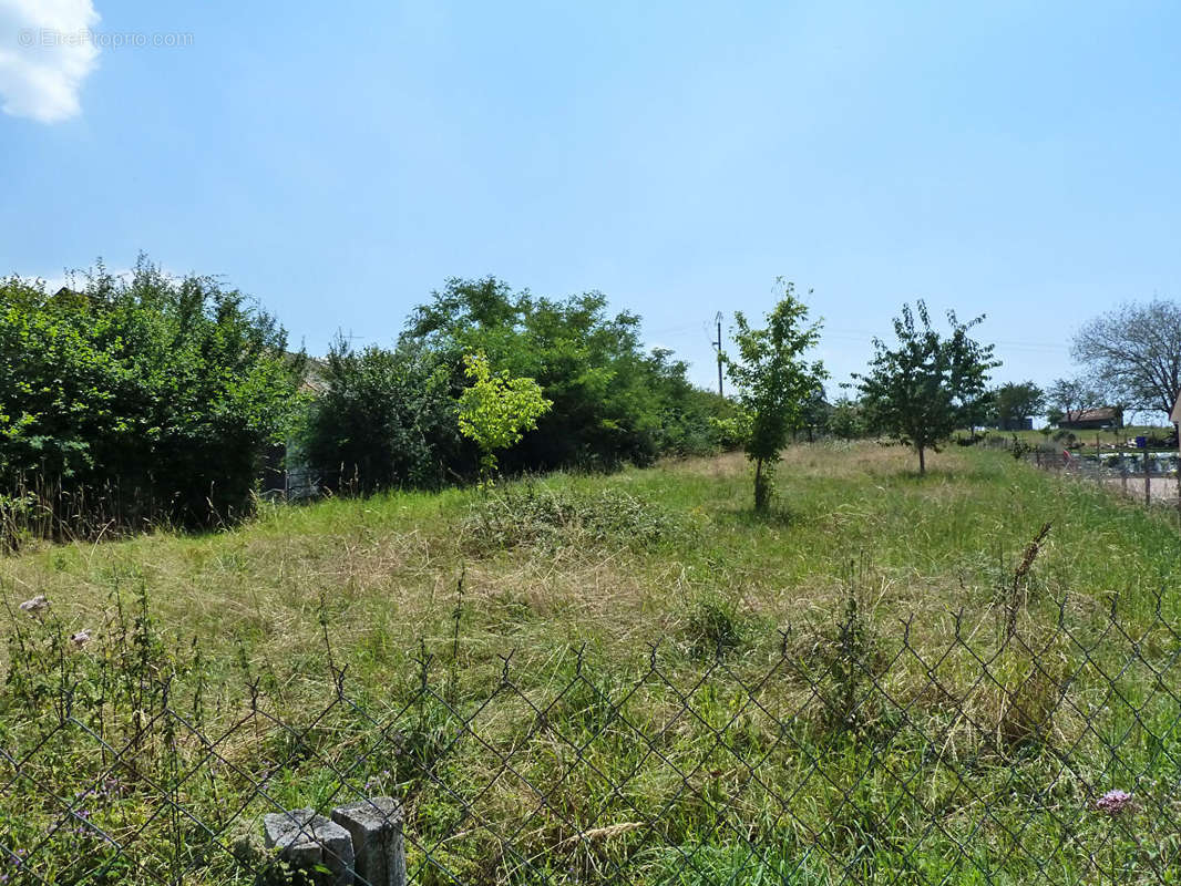 Terrain à LE BREUIL