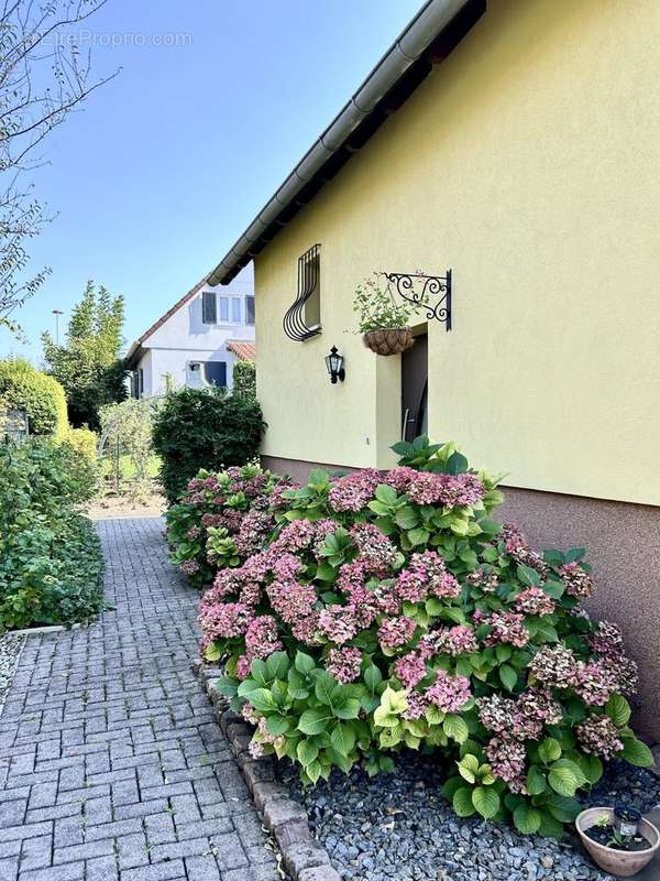 Maison à OBERSCHAEFFOLSHEIM