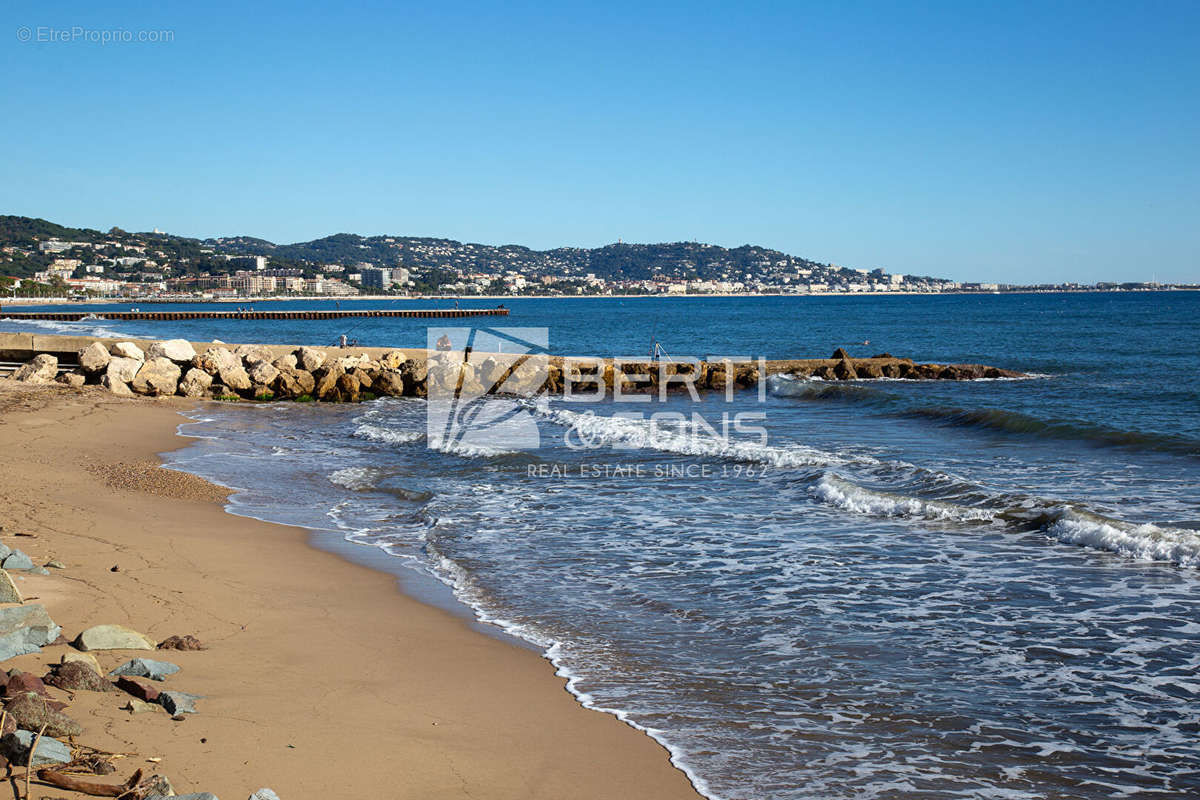 Commerce à CANNES