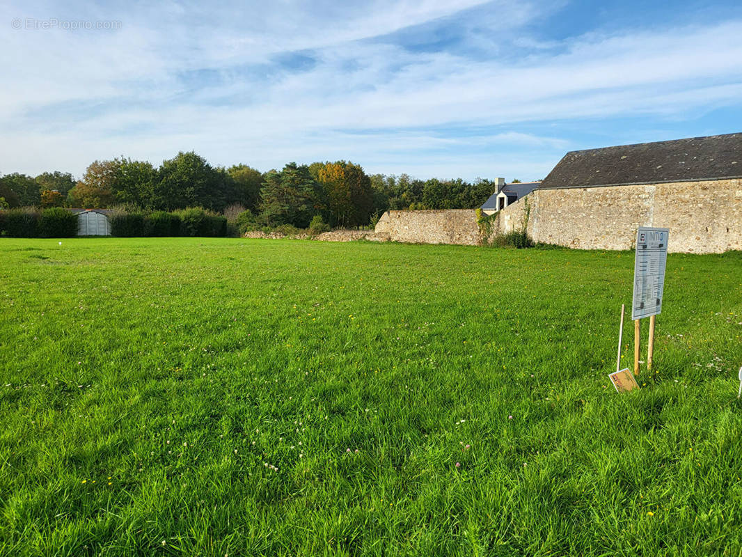 Terrain à GENNES