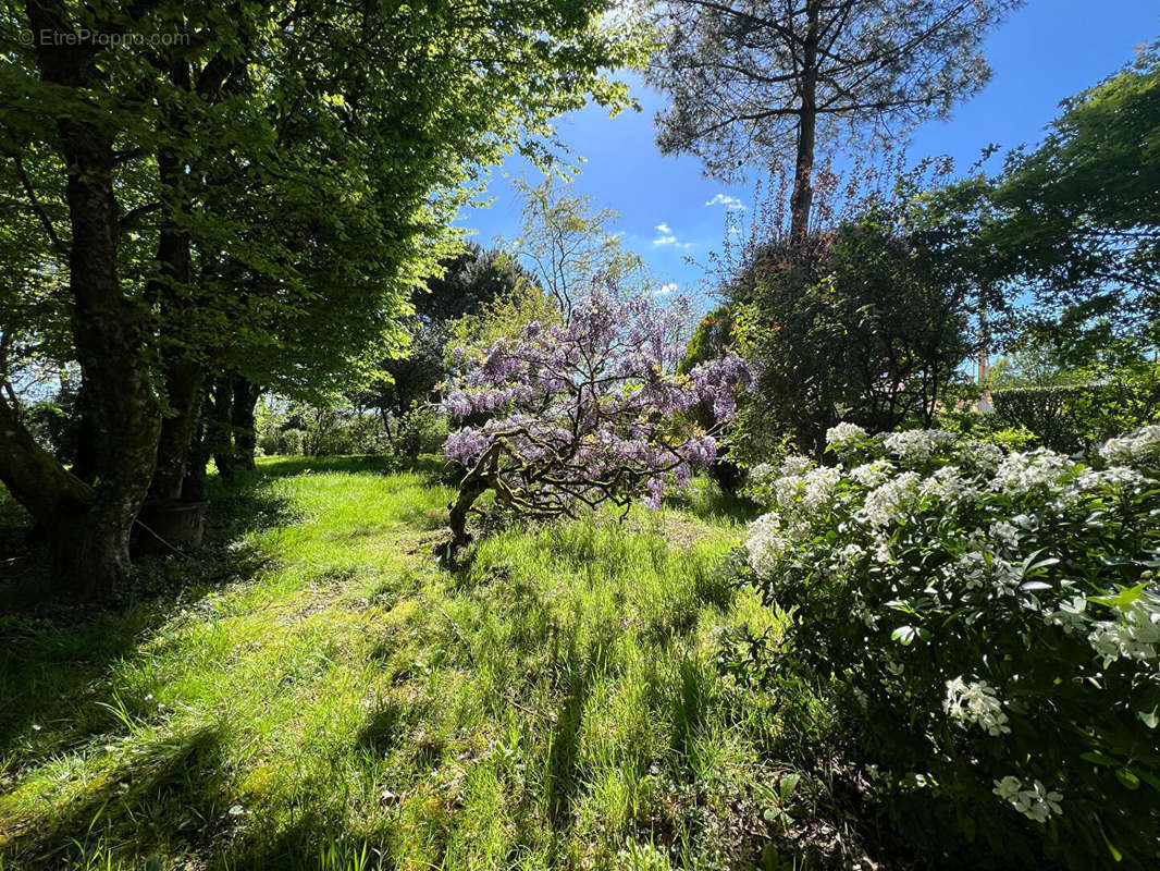 Terrain à AIZENAY