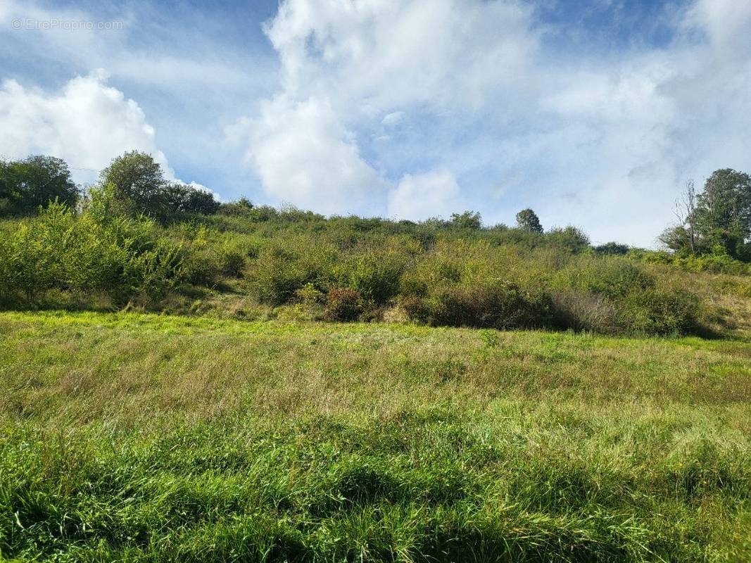 Terrain à CHAULGNES