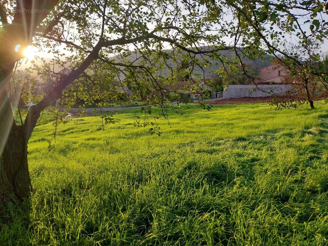 Terrain à OCTON