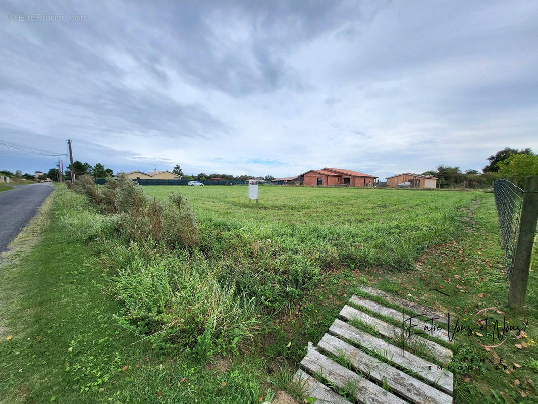 Terrain à BAZAS