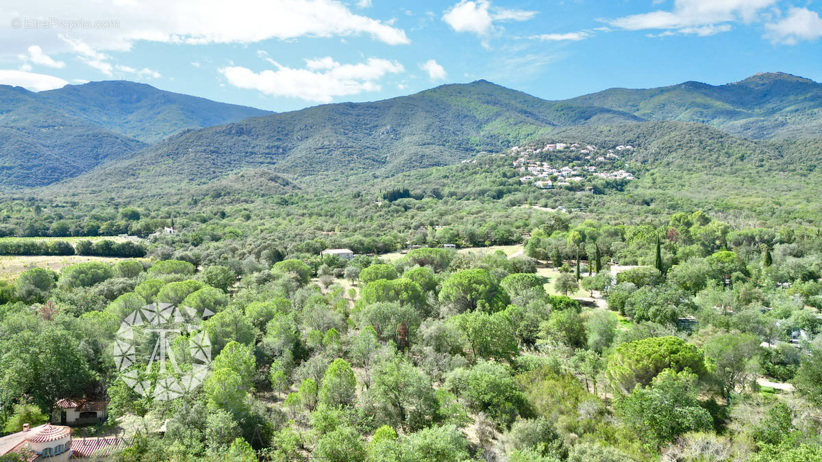 Terrain à LAROQUE-DES-ALBERES