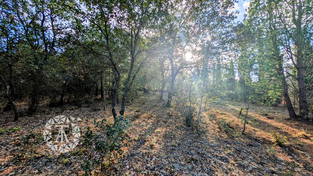 Terrain à LAROQUE-DES-ALBERES