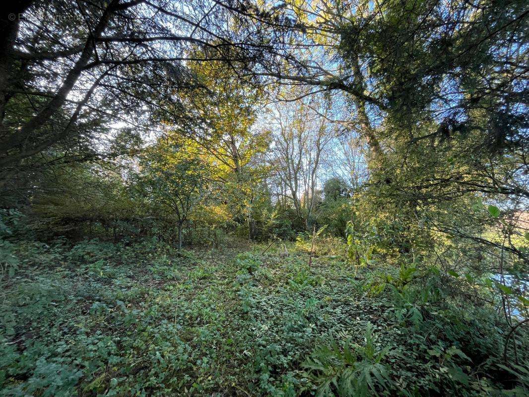 Terrain à ROY-BOISSY