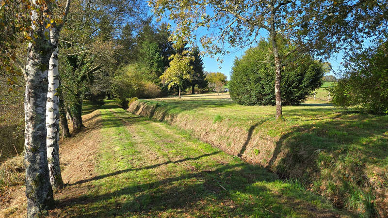 Terrain à MONTROLLET